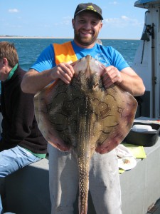 Andys mate, undulate ray 13lb 8oz, 21st September 2014.