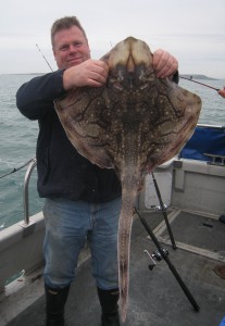 Undulate Ray, 13lb, August 2015