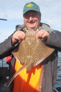 Spotted Ray, 3lb, Malcolm, September 2015.